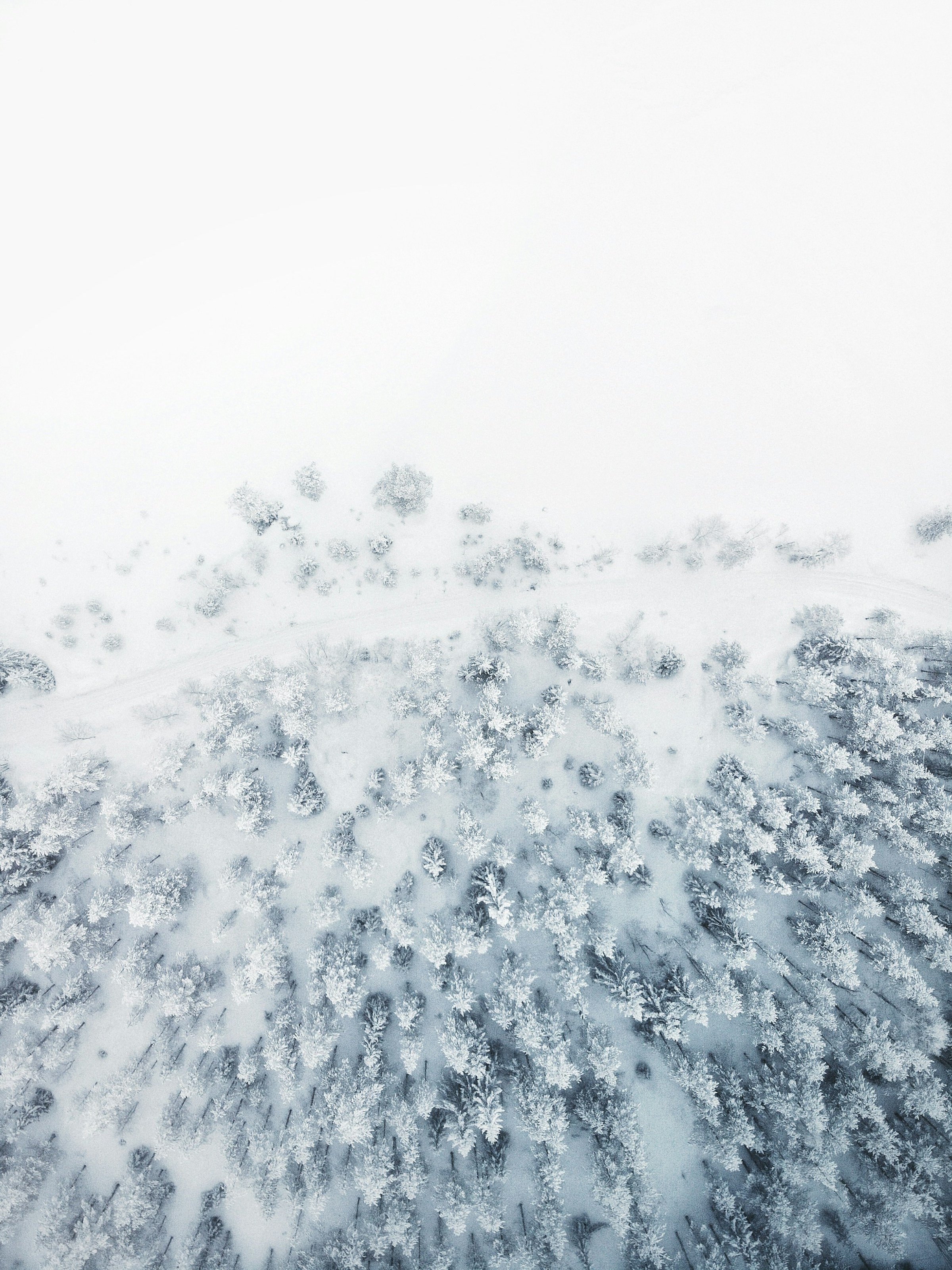 Aerial winter landscape - yuki means snow